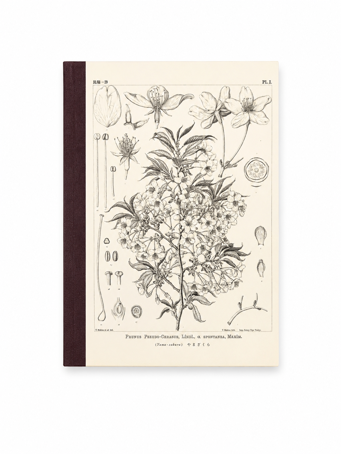 Hobonichi Graph Notebook